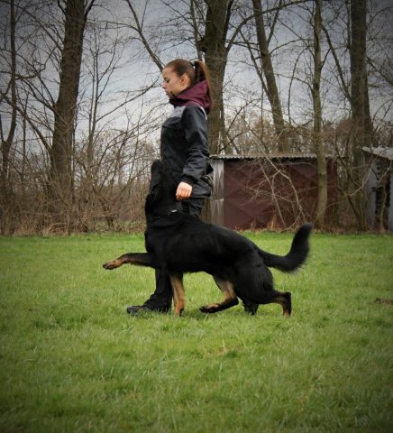 Ilo od Svatováclava